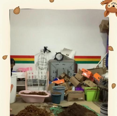 怎么配土才能适合各种植物？植物配土的基本原则？