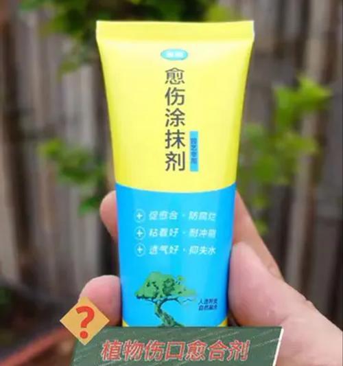 植物伤口处理的正确方法是什么？