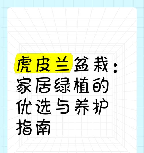 盆栽植物的正确养护方法是什么？
