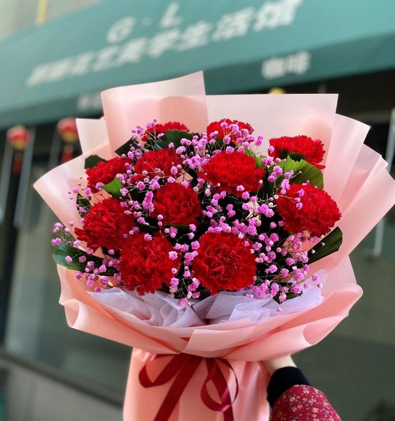 康乃馨的象征意义：康乃馨代表了什么？