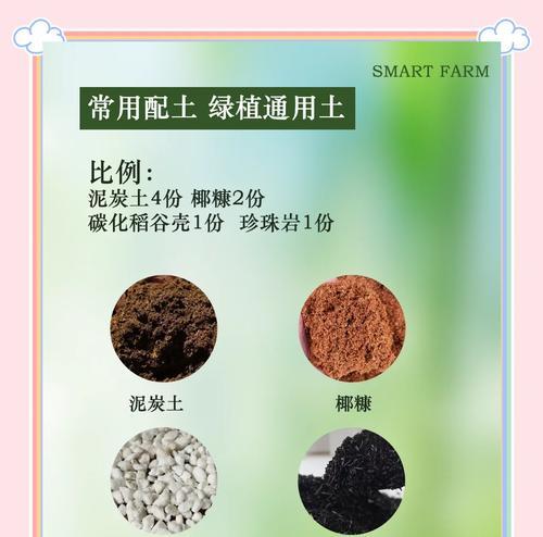 养花时应选择哪种土壤？不同花卉对土壤有何不同需求？