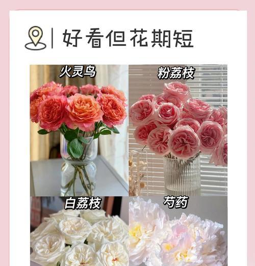 如何让花卉更加鲜艳美丽？