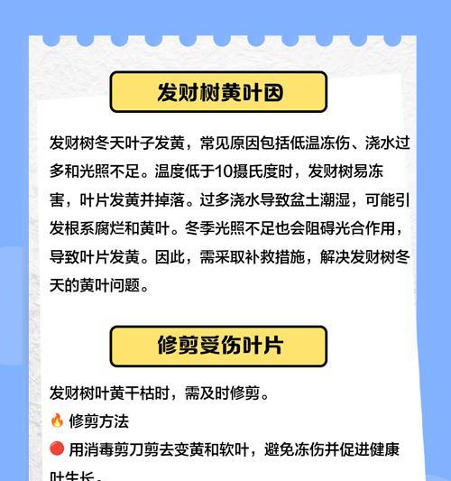 植物叶子发黄是什么原因？如何解决？