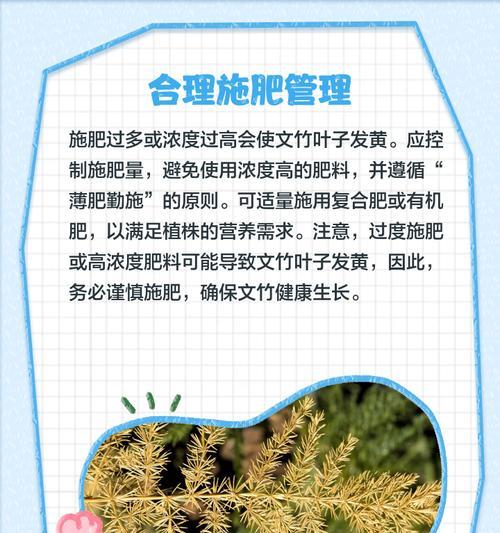 植物叶子发黄是什么原因？如何解决？