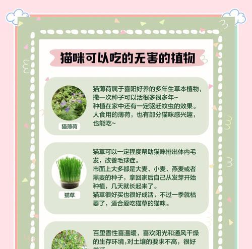 家庭种植各种植物的技巧和常见问题？