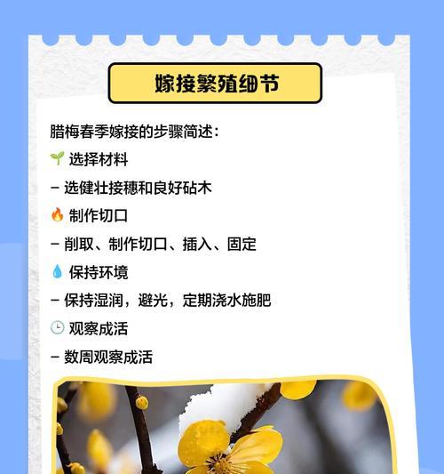 腊梅花的养殖方法有哪些？怎样才能让腊梅花开得更久？