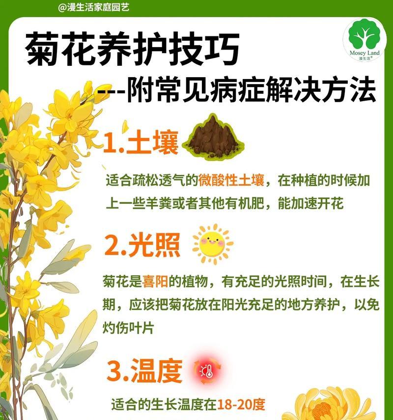 家庭植物养护的常见问题和解决方法是什么？