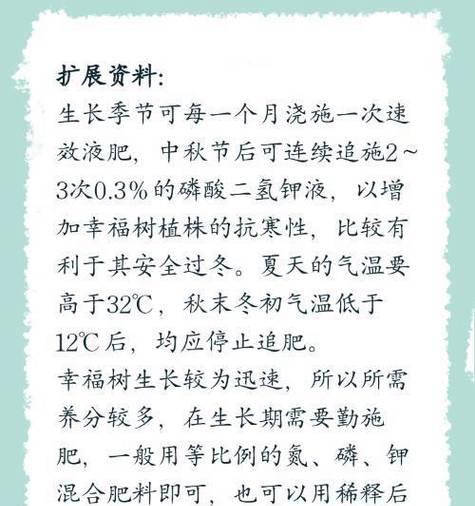夏天如何正确给幸福树浇水？