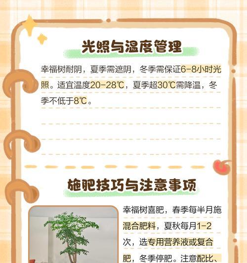 夏天如何正确给幸福树浇水？