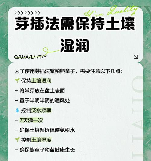 熊童子繁殖的有效方法是什么？