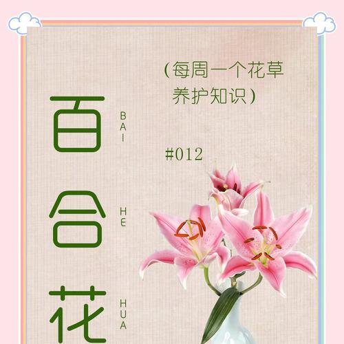 养百合球需要注意哪些事项？百合球的日常护理方法是什么？