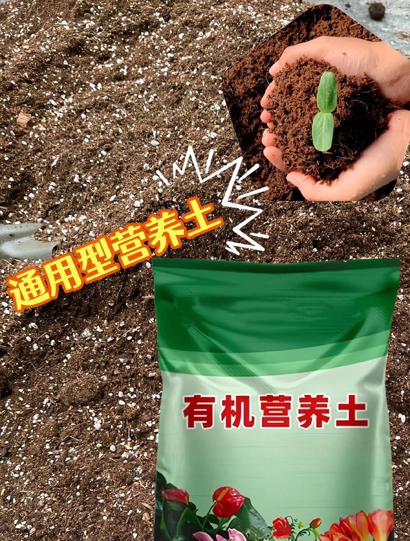 花卉栽培常用的肥料有哪些？如何正确使用肥料？