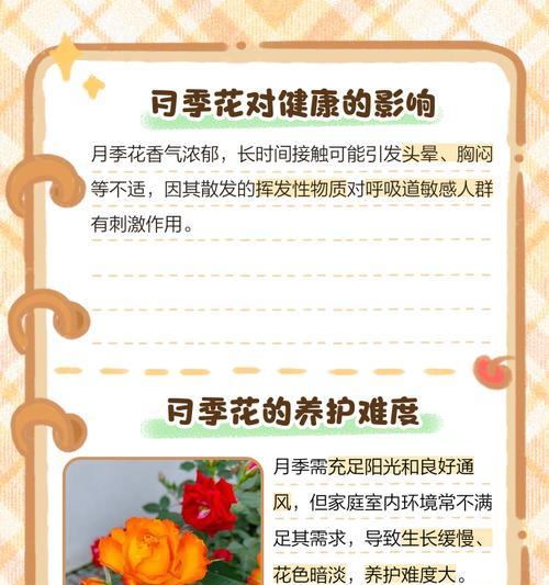 月季的养殖方法是什么？养殖月季需要注意哪些问题？