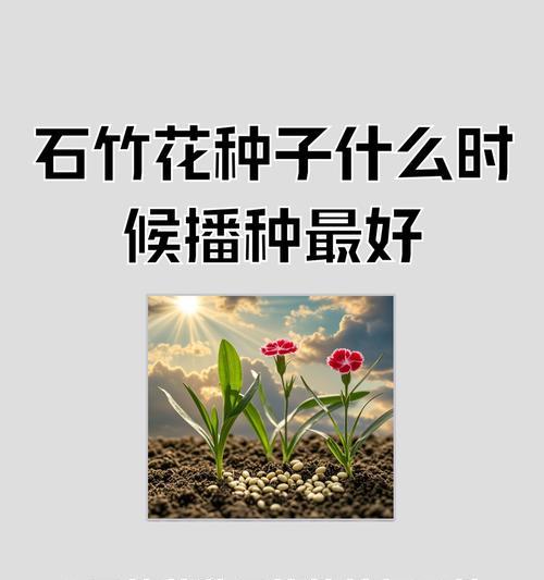 南方花卉品种有哪些？如何在北方种植？