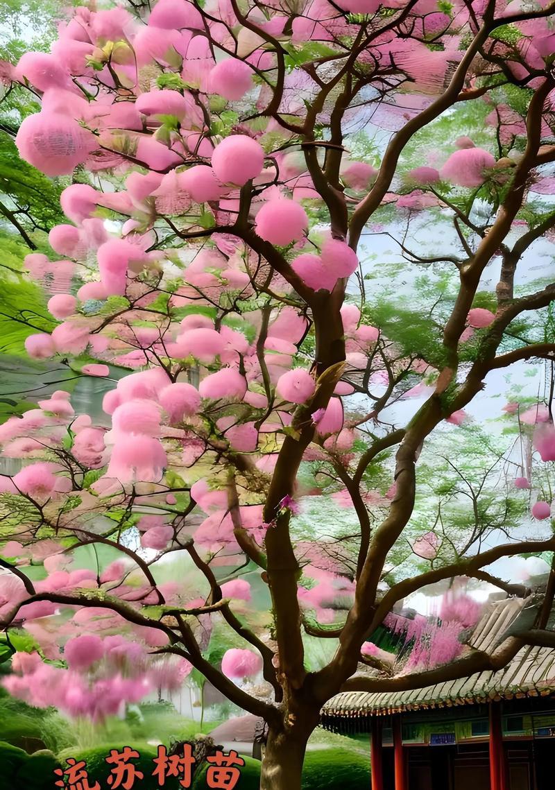 流苏盆景的养护秘诀？怎样才能养出飘逸的枝条？