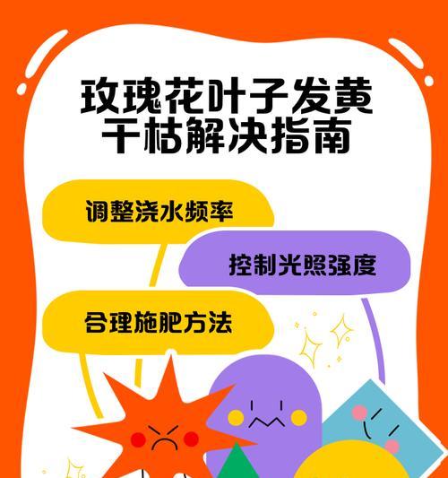 玫瑰花浇水的频率和量是多少？