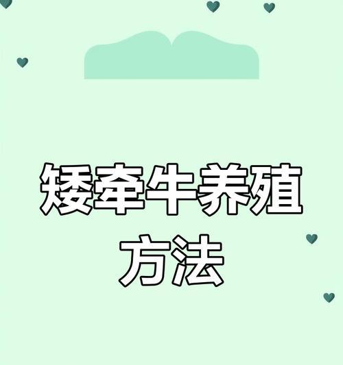矮牵牛繁殖的正确步骤和技巧是什么？