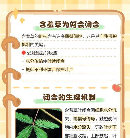 含羞草为什么会含羞？含羞草的生理特性是什么？