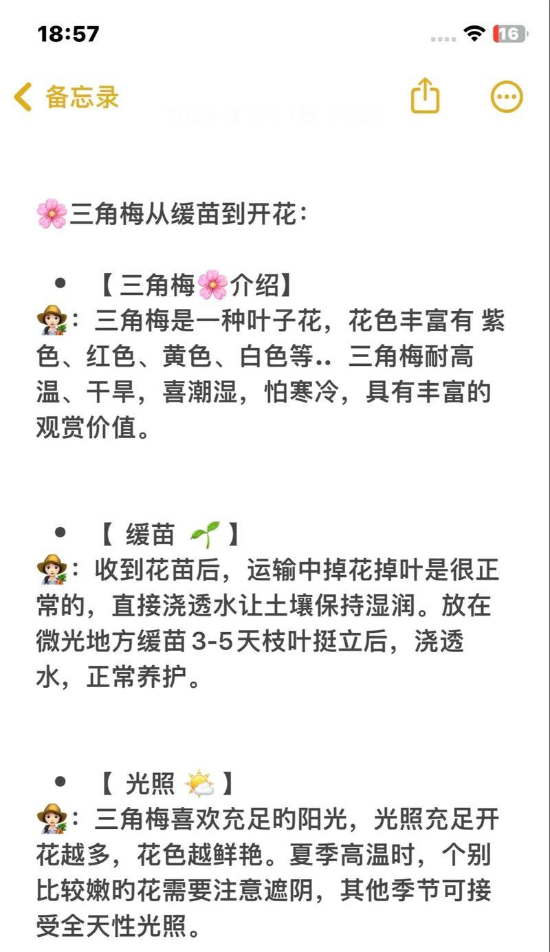 三角梅遭遇虫害怎么解决？有哪些预防措施？