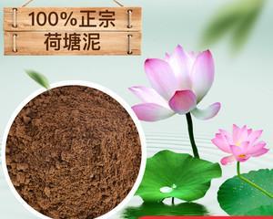 荷花泥土的制作步骤有哪些？