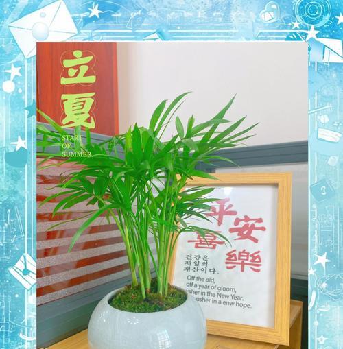 袖珍椰子的养护技巧是什么？如何保持其健康生长？