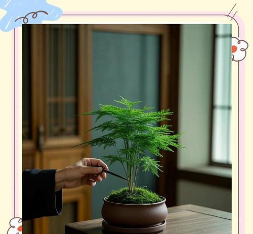 开运竹修剪技巧有哪些？怎样促进其分枝？