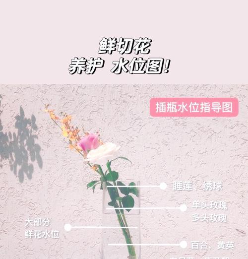 如何正确养护鲜花使其长久存活？