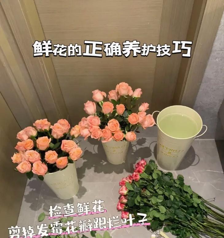 如何正确养护鲜花使其长久存活？