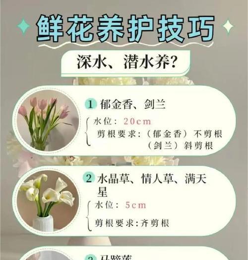 如何正确养护鲜花使其长久存活？