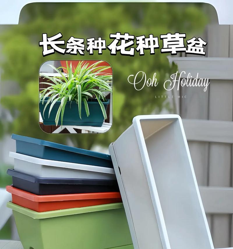 种植花卉时哪种花盆最为合适？