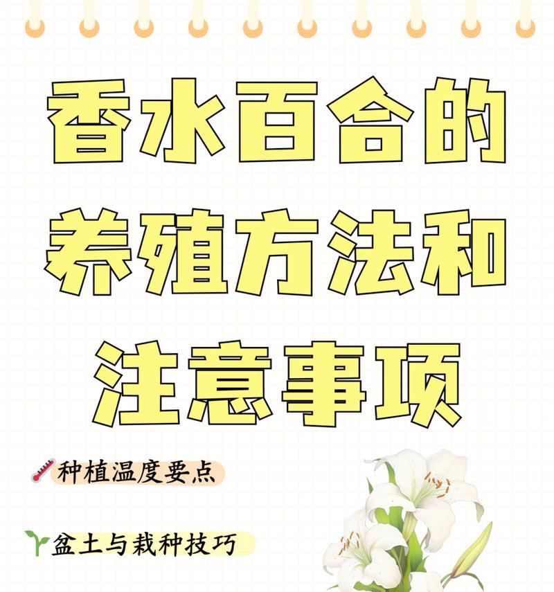 水培百合花怎么养？有哪些注意事项？