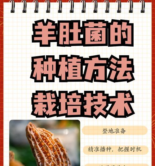 土壤杀菌的方法有哪些？如何有效进行？