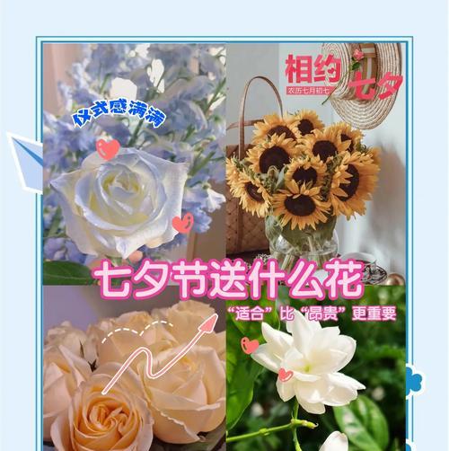 五十铃玉养成彩色的方法是什么？