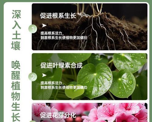 用什么养花？适合花卉生长的土壤和肥料是什么？
