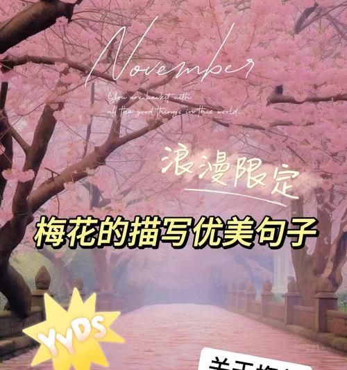 梅花的介绍要点是什么？