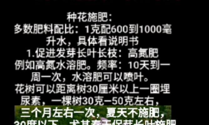 盆栽金桔树需要哪种肥料？施肥方法是什么？
