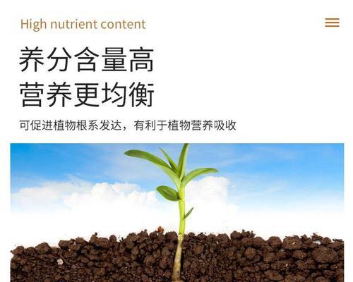 植物生根的秘诀是什么？