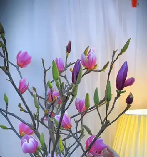 花卉苗木品种繁多，如何挑选适合的？