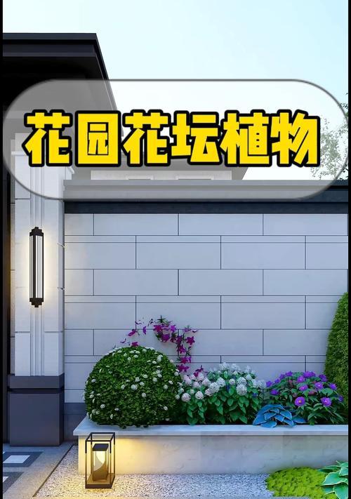 花坛中常见的花卉有哪些？选择花坛花卉的技巧是什么？