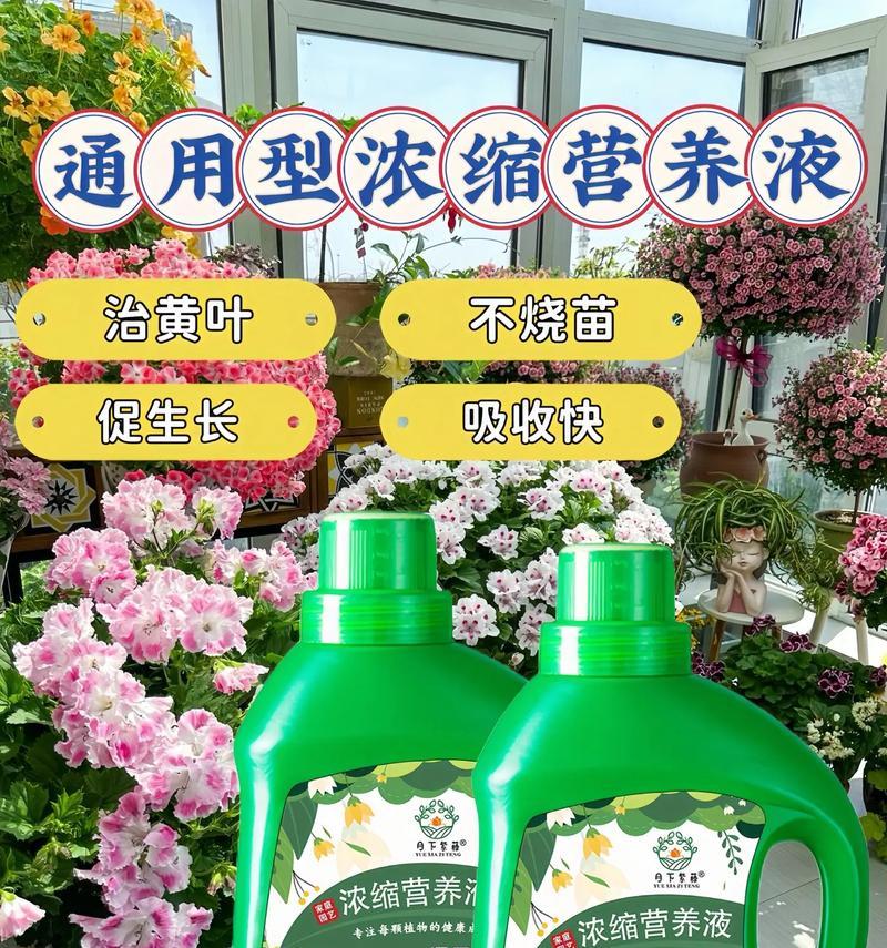使用营养液浇花的最佳时机是什么时候？