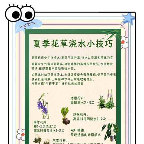 使用营养液浇花的最佳时机是什么时候？