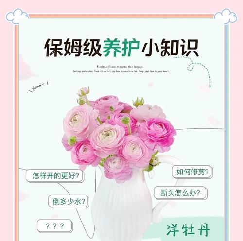 牡丹花的养殖技巧有哪些？