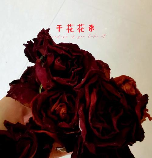 鲜花风干的步骤和技巧？