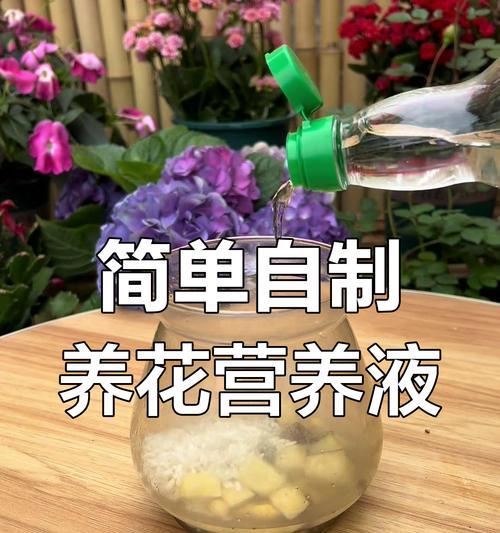 花卉营养液怎么用？使用方法和注意事项是什么？