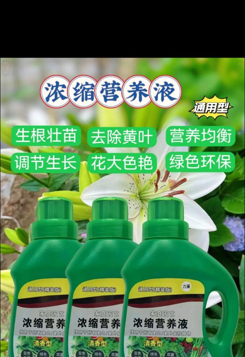 花卉营养液怎么用？使用方法和注意事项是什么？