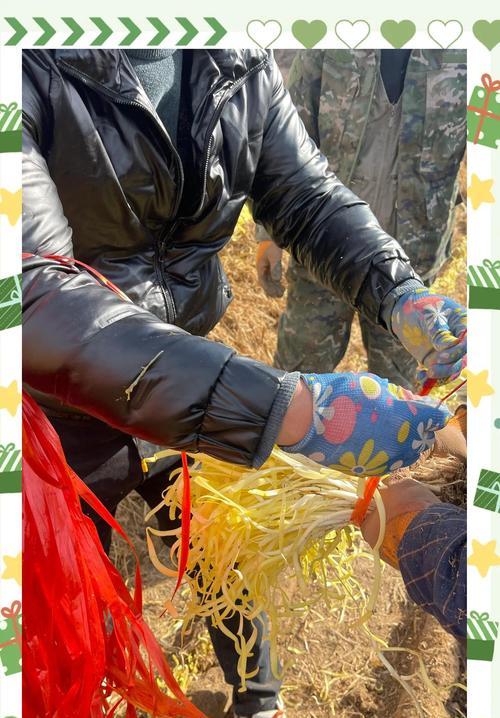 麦草的养殖方法和常见问题是什么？