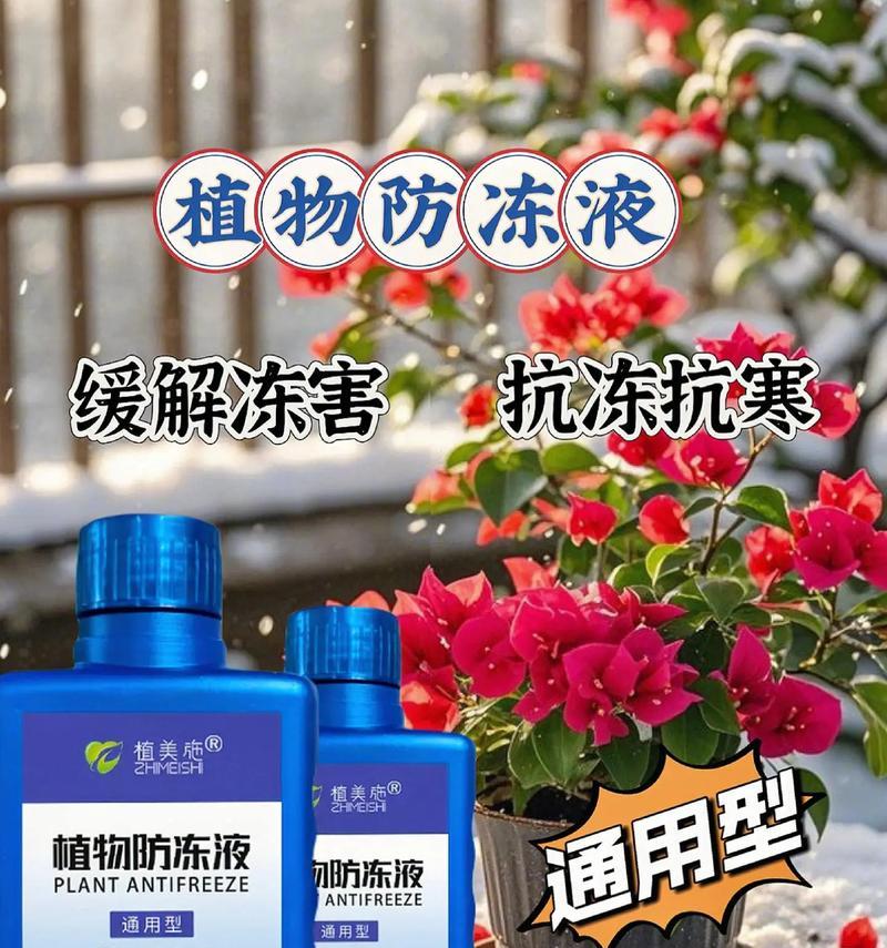 冬季花卉如何安全过冬？