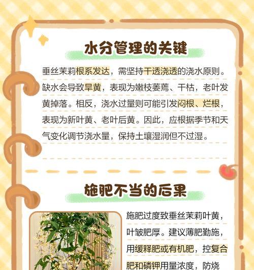 茉莉叶子发黄的原因是什么？如何处理？