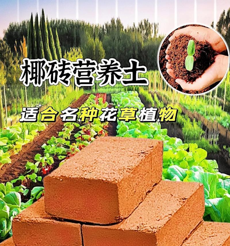 哪种土壤最适合栽花？