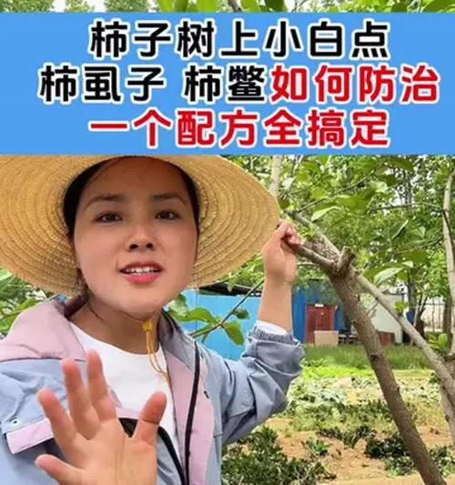 介壳虫的防治方法和有效措施有哪些？